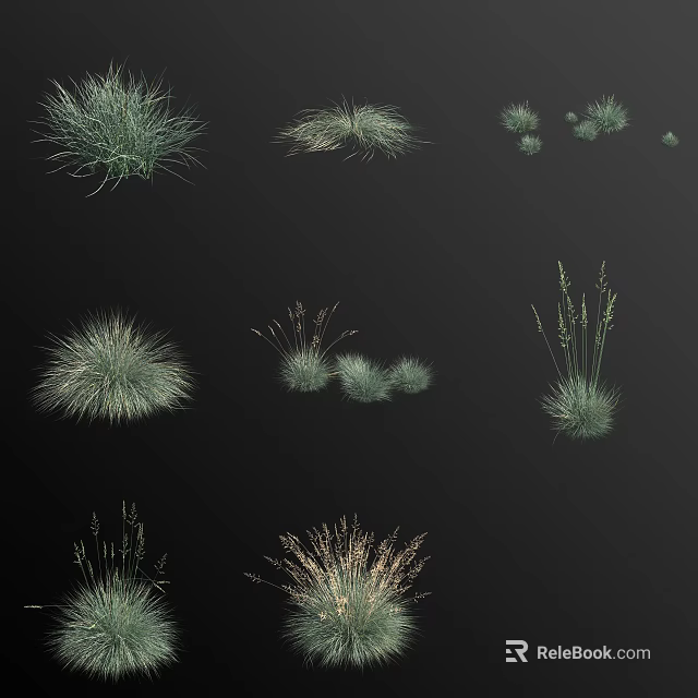 Various Green Grass and Herb Plant Varieties Collection for Landscaping 3d model 