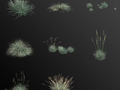 Various Green Grass and Herb Plant Varieties Collection for Landscaping 3d model