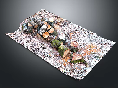 Natural Wood Slices and Stone Blocks as Decorative Elements on Textured Surface 3d model