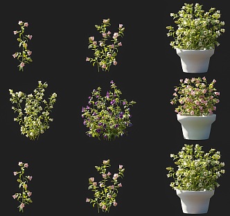 Bellflower flowers and plants combination small grass flowers Bellflower flowers and plants combination courtyard garden park shrubs flowers and plants shrubs green plants 3d model