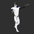 Detailed Human Organ System 3D Model With Muscular Skeletal Anatomical Visualization
