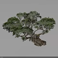 Artistic Bonsai Tree With Green Foliage Twisted Trunk And Detailed Branches