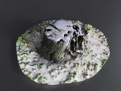 Arbor Tree Stump Surrounded by Lush Green Vegetation on Natural Ground 3d model