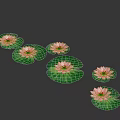 Pink Water Lily Flowers With Green Floating Leaves In Natural Environment