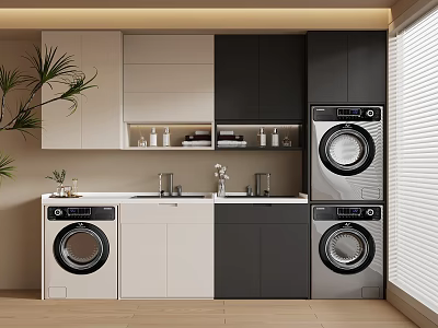 Modern Laundry Room Interior With Washing Machines Dryers Cabinets And Sink 3d model