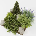 Colorful Garden Flowers And Plants Featuring Lavender Pine Tree Shrubs Stones And Natural Arrangement