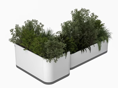 Stylish Modern White Rectangular Planters With Lush Various Green Potted Plants 3d model