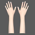 Human Hands And Arms With Natural Skin Tone On Gray Background