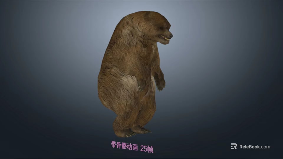 Detailed Realistic 3D Skeleton Animation With 25 Frames For Character Design 3d model 