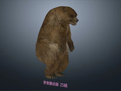 Detailed Realistic 3D Skeleton Animation With 25 Frames For Character Design 3d model