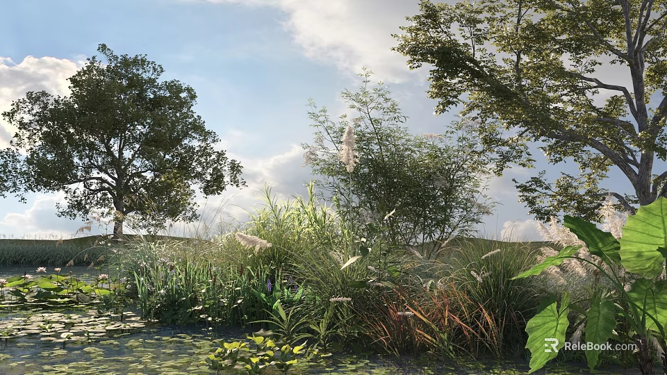 Lush Aquatic Plants And Reeds In Natural Grassland With Trees And Water Area 3d model 