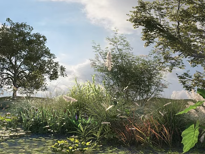 Lush Aquatic Plants And Reeds In Natural Grassland With Trees And Water Area 3d model