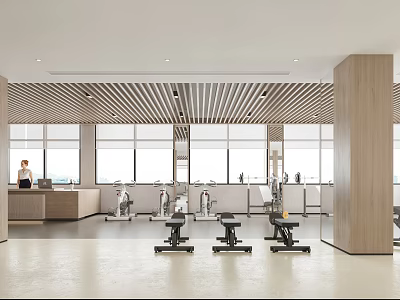 Spacious Modern Gym With Fitness Equipment And Natural Light 3d model