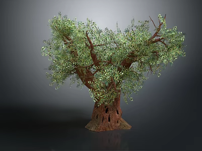 Lush Green Tree With Thick Trunk And Dense Branches On Gray Background 3d model
