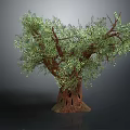 Lush Green Tree With Thick Trunk And Dense Branches On Gray Background