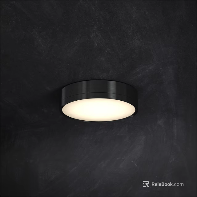 Modern Black Round Ceiling Light with White Illumination for Interior Design 3d model