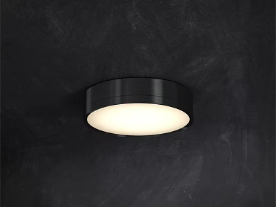 Modern Black Round Ceiling Light with White Illumination for Interior Design 3d model