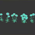 Vibrant Flowering Plants With Pink Red Blooms Green Leaves Stems And Reflections On Dark Background