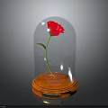 Pink Rose Under Glass Dome With Wooden Base And Golden Plaque
