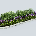 Lush Green Shrubs With Purple Flowers In Garden Flower Bed With Concrete Border