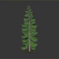 Green Potted Pine Tree on Black Tabletop With White Base Against Gray Background 3d model