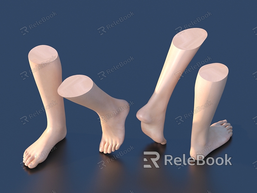 Manicure of Human Foot Model model