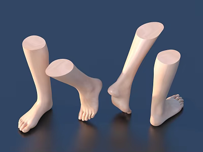Women's Leg Models in Four Different Angles with Light Color and Dark Blue Reflective Background 3d model