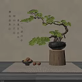 Elegant Bonsai Plant in Black Pot with Curved Branches Green Leaves on Wooden Stand