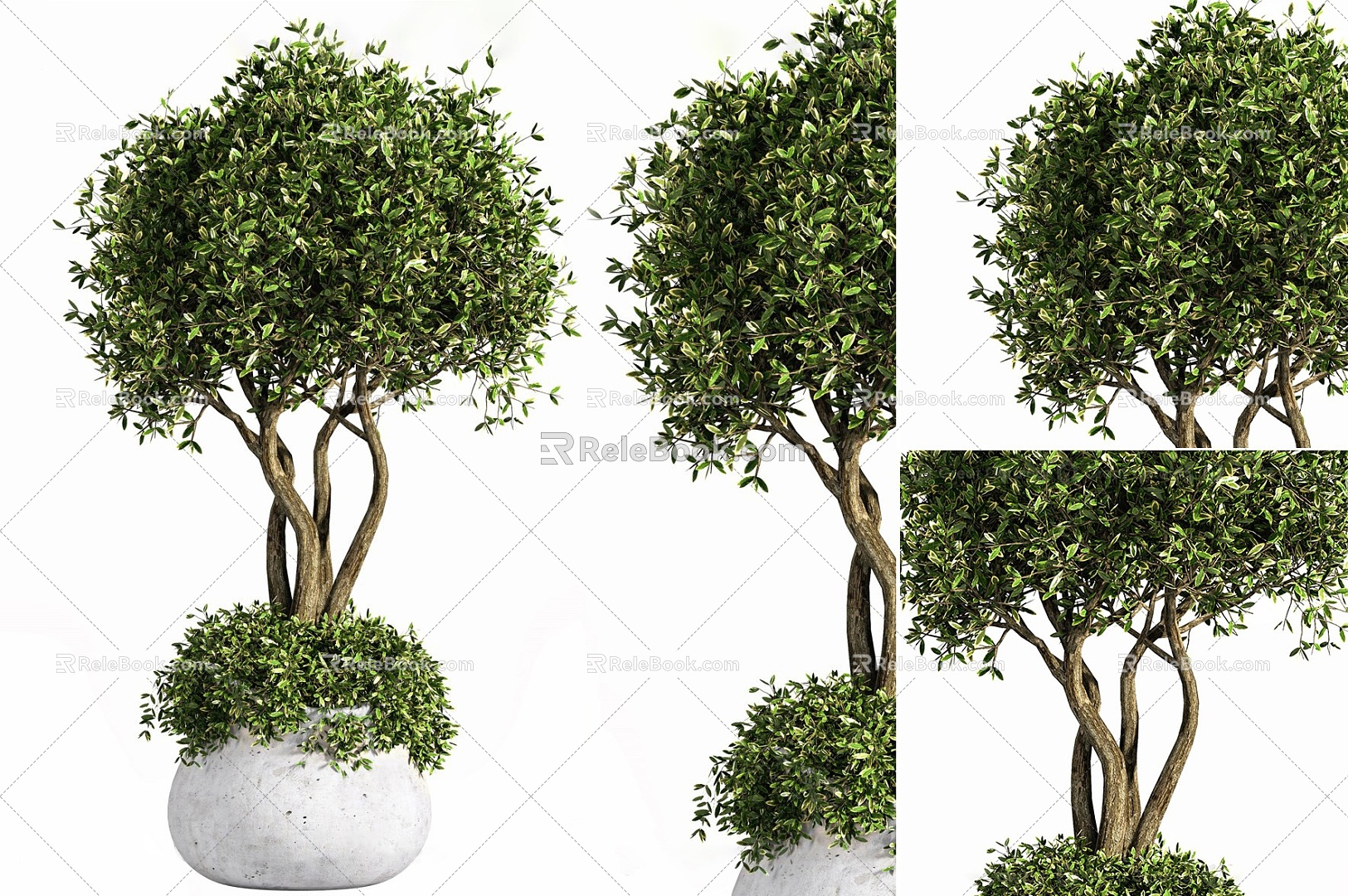 Nordic potted plants indoor potted potted trees outdoor cement potted plants trees potted trees green plants 3d model