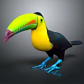 Tropical Toucan Bird with Vibrant Green Beak Yellow Chest Black Feathers and Blue Feet