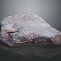 Grayish Brown Rock With Surface Marks Claw Tool Impressions And Reflection On Dark Background 3d model