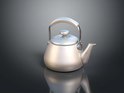 Shiny Silver Teapot With Handle Spout Lid And Smooth Metal Finish 3d model