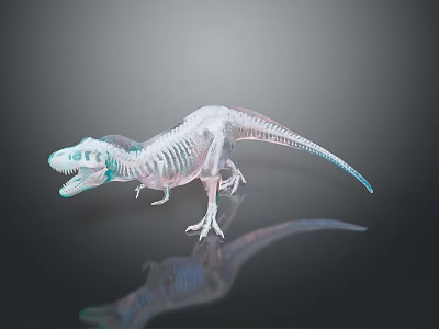 Transparent Dinosaur Skeleton Model With Realistic Anatomical Detail And Clear Structure 3d model