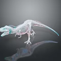 Transparent Dinosaur Skeleton Model With Realistic Anatomical Detail And Clear Structure