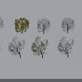Leafy and Leafless Trees Arranged in Rows on White Snowy Background 3d model