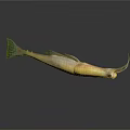 Vibrant Yellow Fish with Green Tail Fins Long Snout and Reflection on Dark Background