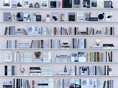 Stylish Bookshelves Filled With Various Books Magazines And Decorative Items 3d model