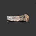 Natural Wood Log With Organic Texture On Rough Stone Slab Surface