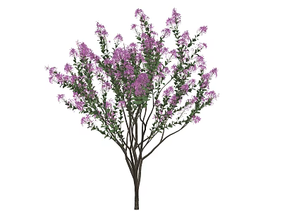 Lush Purple Flowering Shrub with Green Leaves and Brown Branches 3d model