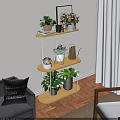 Indoor Wooden Multi Tiered Decor Shelf Featuring Succulents Potted Plants Metal Watering Can And Books
