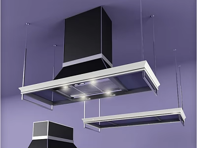 Modern Contemporary Kitchen Appliances With Black Silver Range Hoods And Lighting 3d model