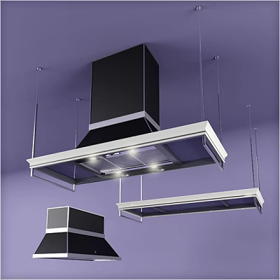 Modern Contemporary Kitchen Appliances With Black Silver Range Hoods And Lighting 3d model