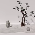 Zen Courtyard Garden with Sandy Ground Pine Tree Circular Sand Patterns and Two Rocks 3d model