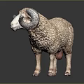Detailed Sheep Sculpture With Curly Wool Texture In Standing Pose On Dark Background