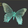 Butterfly with Brown and Teal Iridescent Spread Wings on Dark Background