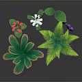 Colorful Garden Plants Featuring Red Flower White Daisy Purple Bellflowers And Green Leafy Ferns