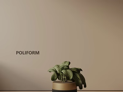 Green Leaf Potted Plant in Black Pot with Gold Rim against Beige Wall and POLIFORM 3d model