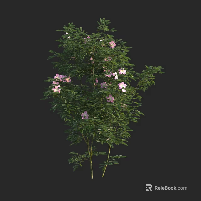 Lush Green Shrub With Vibrant Pink Flowers And Dense Foliage 3d model 