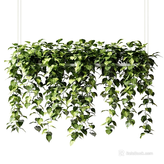 Creative Garden Decor Featuring Hanging Green Vines and Lush Leafy Plants 3d model 