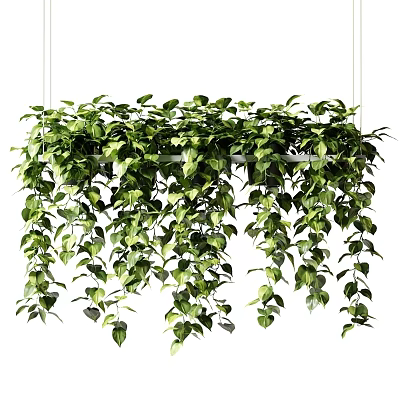 Creative Garden Decor Featuring Hanging Green Vines and Lush Leafy Plants 3d model